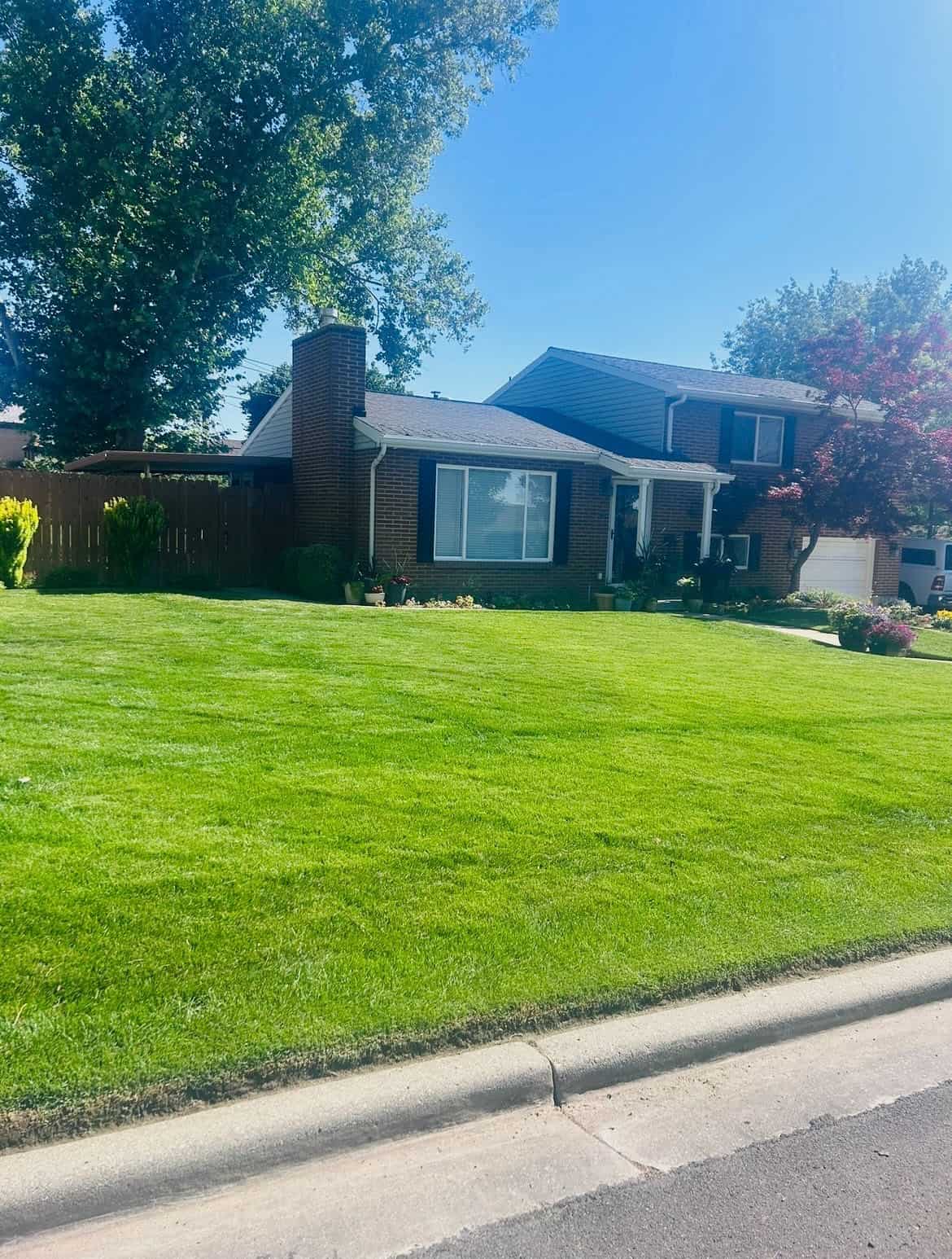 Well-maintained residential lawn by Green Oasis