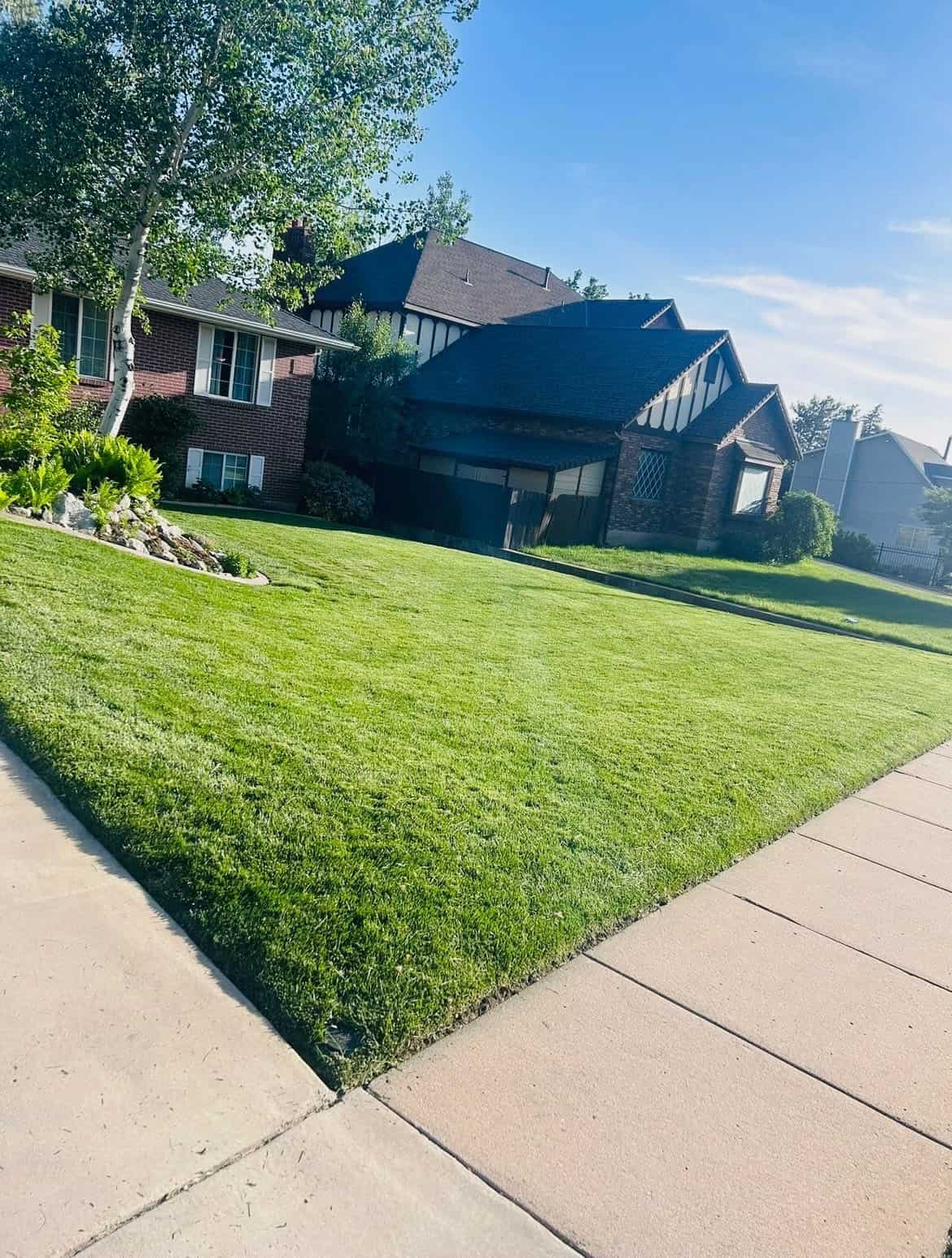Green Oasis lawn care project