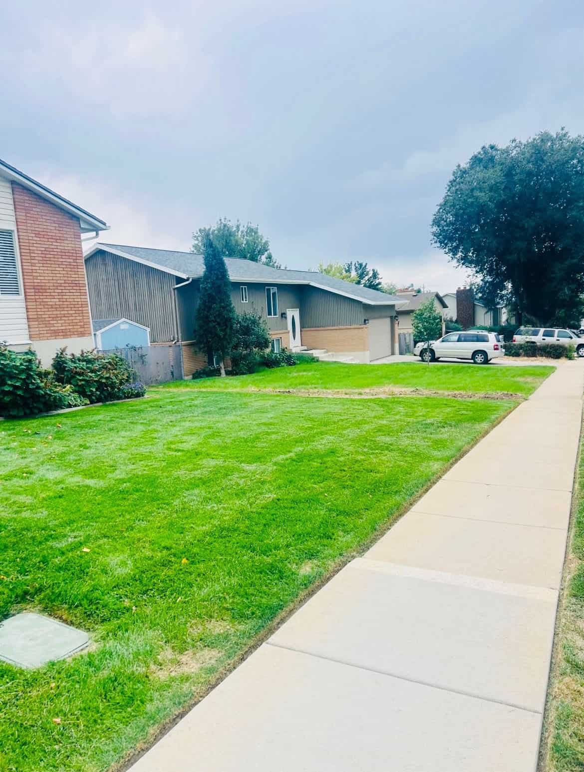 Green Oasis lawn care project