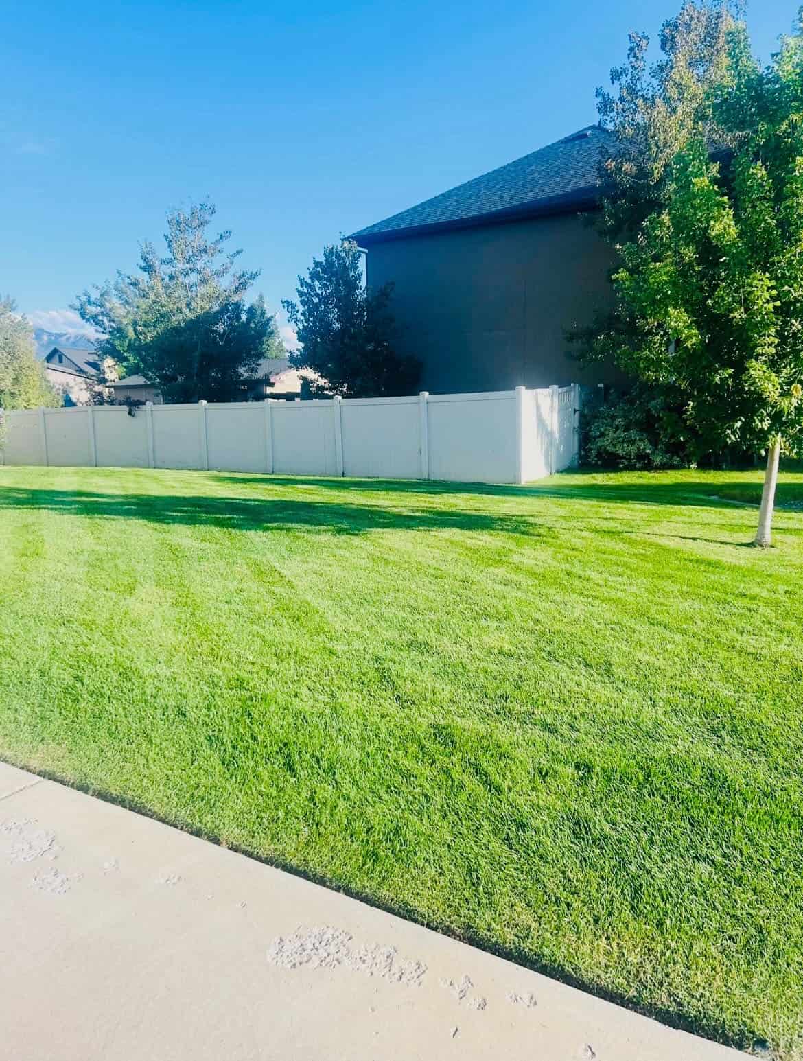 Green Oasis lawn care project