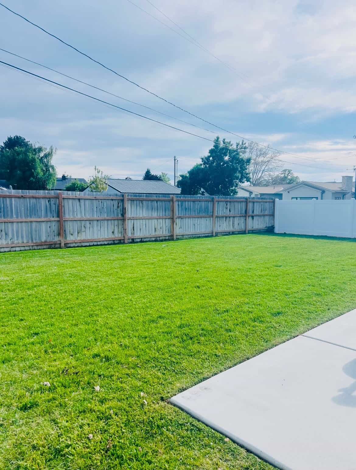 Green Oasis lawn care project