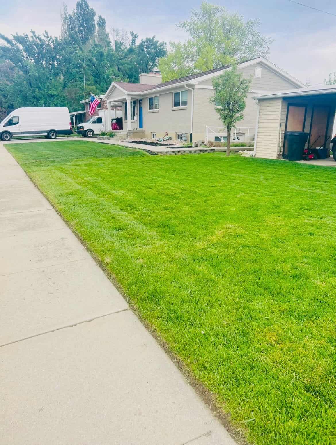 Green Oasis lawn care project