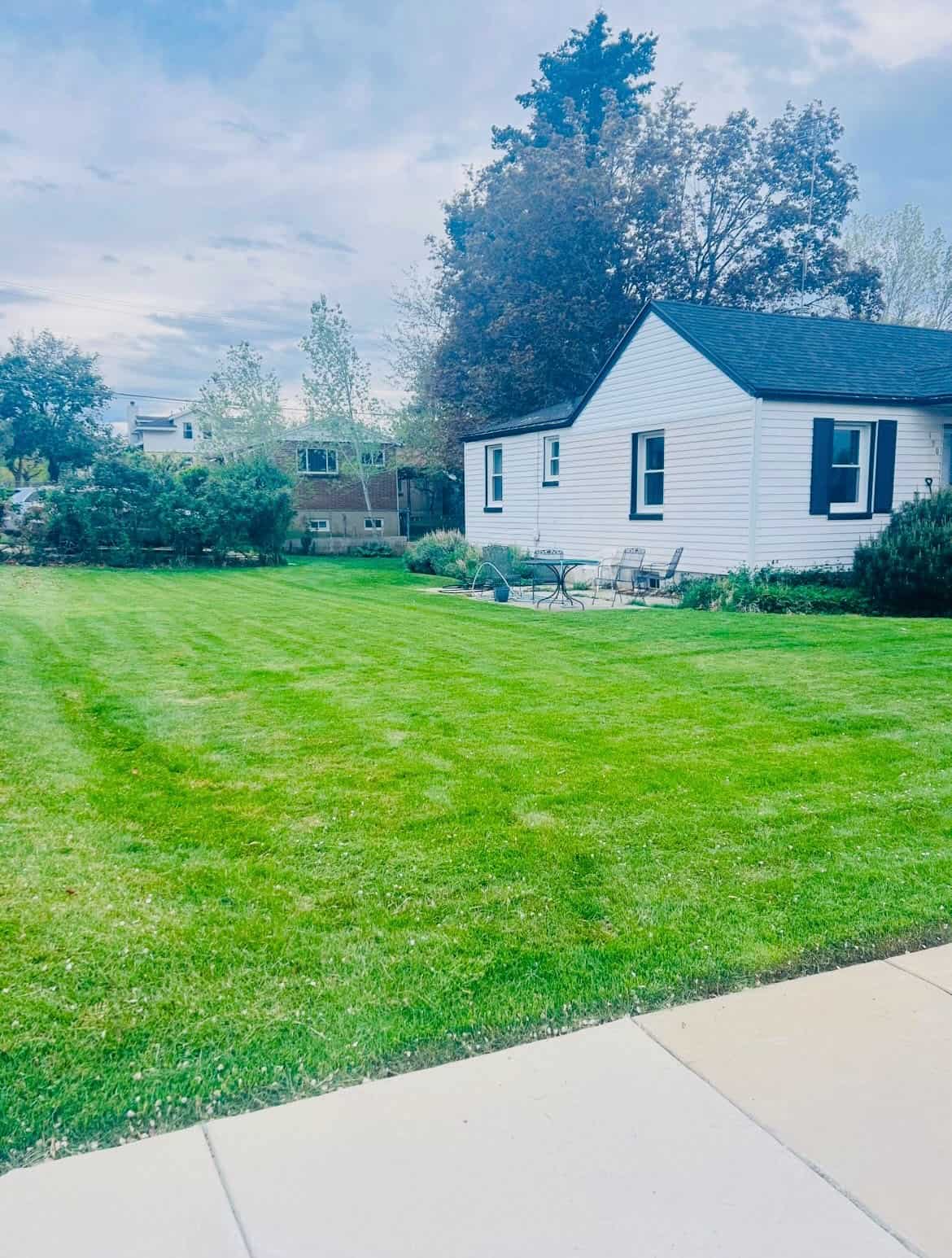 Green Oasis lawn care project